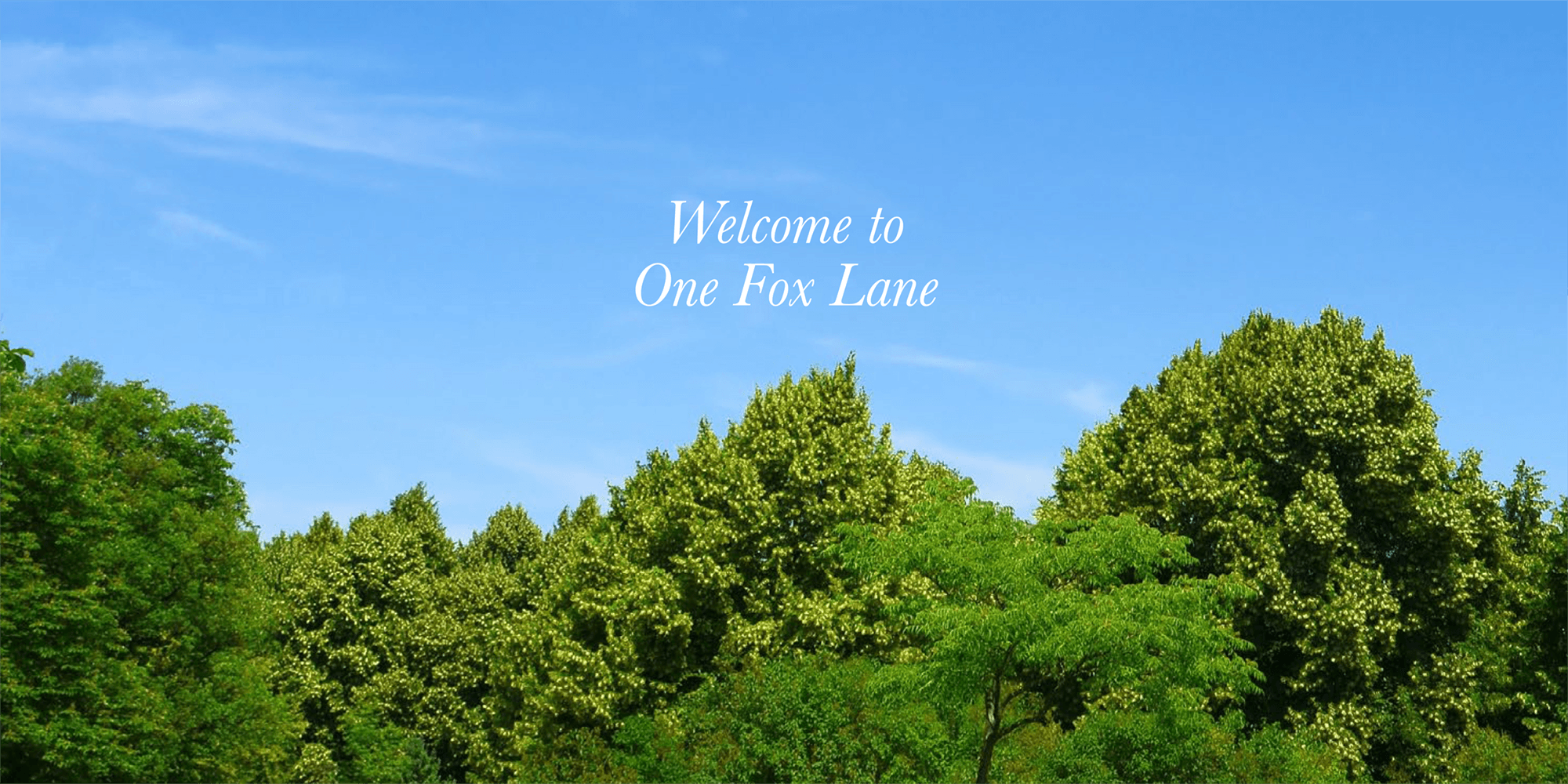 One Fox Lane